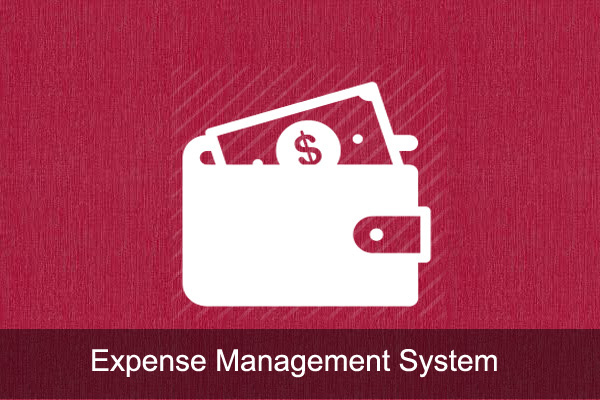 Expense management sytem